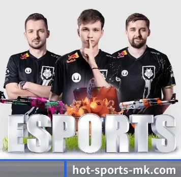 mk体育 APP | MKSPORT