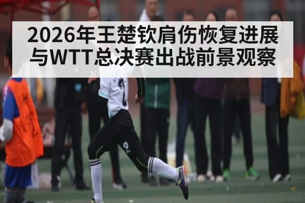 2026年王楚钦肩伤恢复进展与WTT总决赛出战前景观察